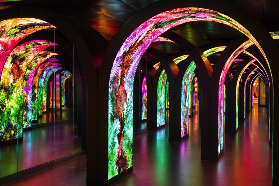 Celebrity Xcel Tunnel ©Celebrity Cruises2.jpg